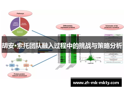 胡安·索托团队融入过程中的挑战与策略分析 胡安·索托团队融入过程中的挑战与策略分析
